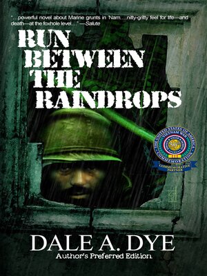 cover image of Run Between the Raindrops